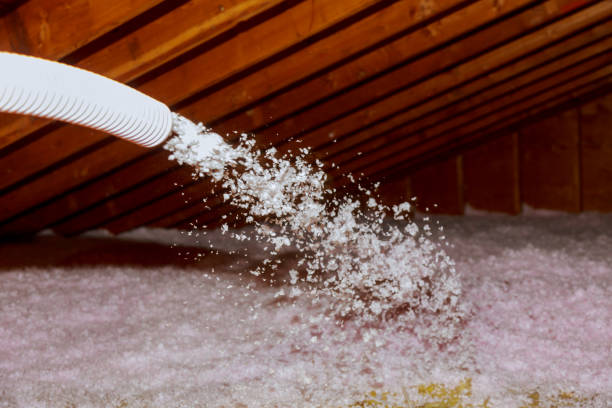 Best Insulation Inspection Services  in Cloquet, MN