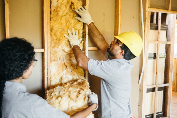 Best Wall Insulation Contractor  in Cloquet, MN