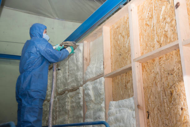 Insulation Inspection Services